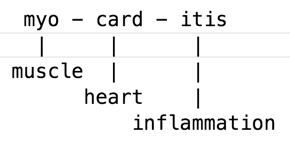 medical word parts example