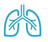 pulmonary hypertension link