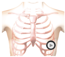 patient torso with stethoscope chestpiece