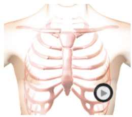 auscultates adventitious breath sounds