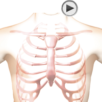 patient torso with stethoscope at aortic position