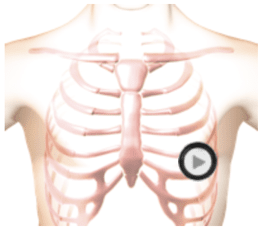 virtual auscultation of patient torso